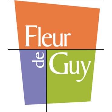 Sebastien FLEUR DE GUY OR.jpg